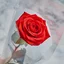 A single rose is the perfect pairing